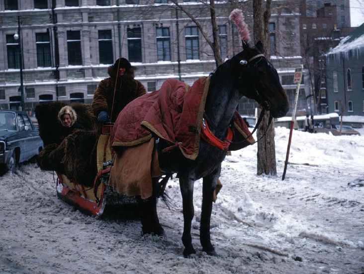 Quebec City horse-drawn sleigh, February 1967